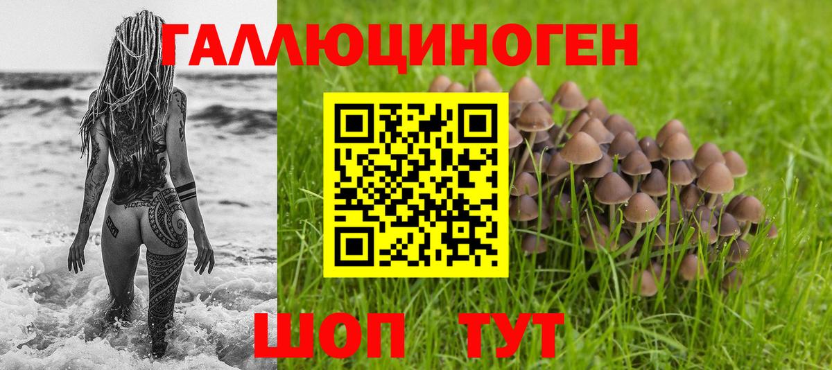 Серов  Псилоцибиновые грибы GOLDEN TEACHER  наркота  Вход с VPN  Галлюциногенные грибы Psilocybe 